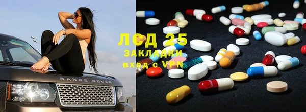 дживик Карпинск