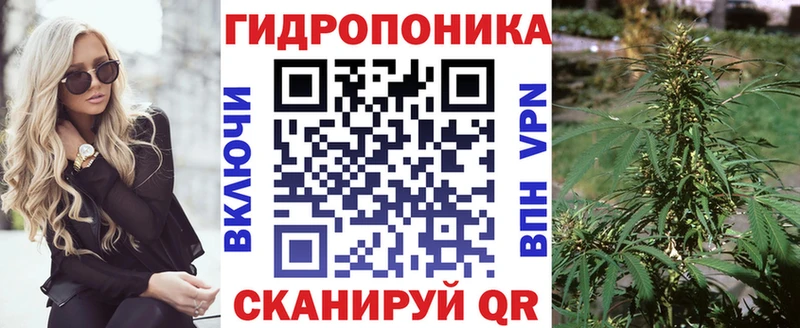 Бошки Шишки семена Обнинск